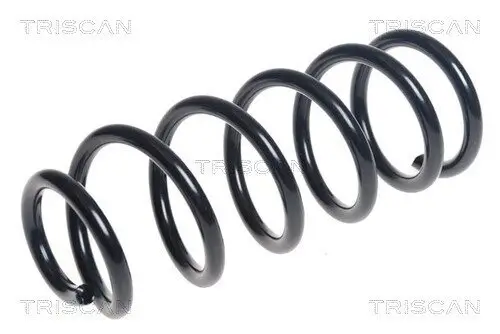 Fahrwerksfeder Hinterachse TRISCAN 8750 11184