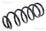 Fahrwerksfeder Hinterachse TRISCAN 8750 11184