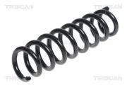 Fahrwerksfeder Hinterachse TRISCAN 8750 11197
