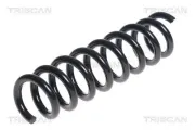 Fahrwerksfeder Hinterachse TRISCAN 8750 11198