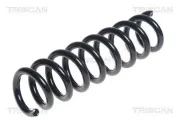 Fahrwerksfeder Hinterachse TRISCAN 8750 11223