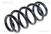 Fahrwerksfeder Hinterachse TRISCAN 8750 11242