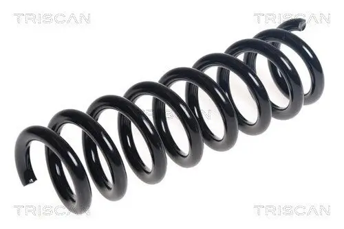 Fahrwerksfeder Hinterachse TRISCAN 8750 11245