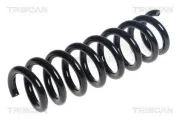 Fahrwerksfeder Hinterachse TRISCAN 8750 11245