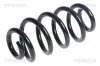 Fahrwerksfeder Hinterachse TRISCAN 8750 11249