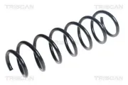 Fahrwerksfeder Hinterachse TRISCAN 8750 11262