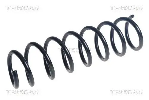 Fahrwerksfeder Hinterachse TRISCAN 8750 11270