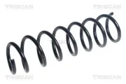 Fahrwerksfeder Hinterachse TRISCAN 8750 11270