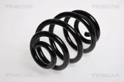 Fahrwerksfeder Hinterachse TRISCAN 8750 1143