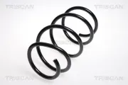 Fahrwerksfeder Vorderachse TRISCAN 8750 1175