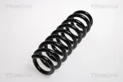 Fahrwerksfeder Hinterachse TRISCAN 8750 1177