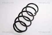 Fahrwerksfeder Vorderachse TRISCAN 8750 1183