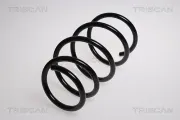 Fahrwerksfeder Vorderachse TRISCAN 8750 1189