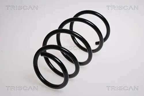Fahrwerksfeder Vorderachse TRISCAN 8750 1189 Bild Fahrwerksfeder Vorderachse TRISCAN 8750 1189