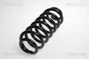 Fahrwerksfeder Hinterachse TRISCAN 8750 1190