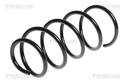 Fahrwerksfeder Vorderachse TRISCAN 8750 1197 Bild Fahrwerksfeder Vorderachse TRISCAN 8750 1197