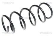 Fahrwerksfeder Vorderachse TRISCAN 8750 1215