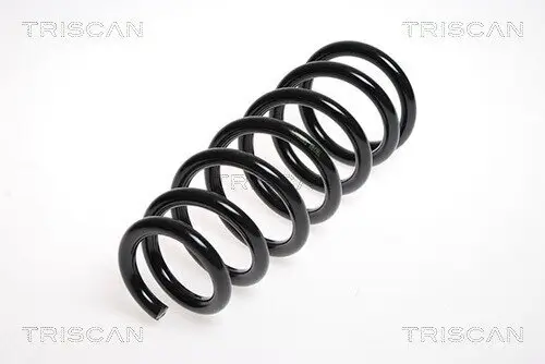 Fahrwerksfeder Hinterachse TRISCAN 8750 13113