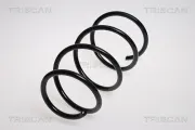 Fahrwerksfeder Vorderachse TRISCAN 8750 13115