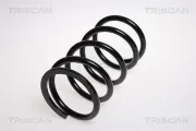 Fahrwerksfeder Hinterachse TRISCAN 8750 13150