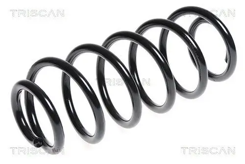 Fahrwerksfeder Hinterachse TRISCAN 8750 13164 Bild Fahrwerksfeder Hinterachse TRISCAN 8750 13164
