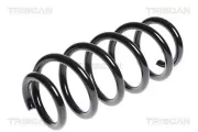 Fahrwerksfeder Hinterachse TRISCAN 8750 13166