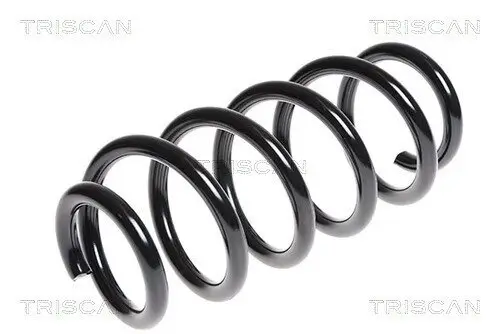Fahrwerksfeder Hinterachse TRISCAN 8750 13166 Bild Fahrwerksfeder Hinterachse TRISCAN 8750 13166
