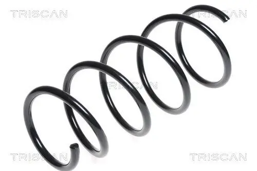 Fahrwerksfeder Vorderachse TRISCAN 8750 13171 Bild Fahrwerksfeder Vorderachse TRISCAN 8750 13171