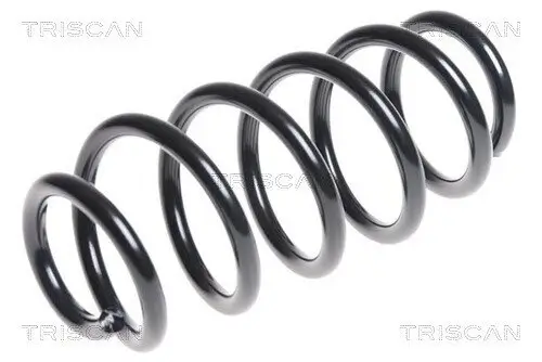Fahrwerksfeder Hinterachse TRISCAN 8750 13172