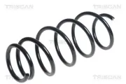Fahrwerksfeder Vorderachse TRISCAN 8750 13194