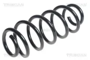 Fahrwerksfeder Hinterachse TRISCAN 8750 13197