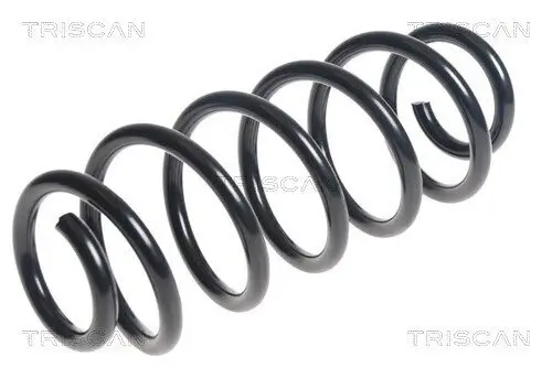 Fahrwerksfeder Hinterachse TRISCAN 8750 13197 Bild Fahrwerksfeder Hinterachse TRISCAN 8750 13197