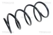 Fahrwerksfeder Vorderachse TRISCAN 8750 13199