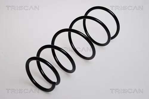 Fahrwerksfeder Vorderachse TRISCAN 8750 13204 Bild Fahrwerksfeder Vorderachse TRISCAN 8750 13204