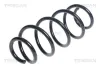 Fahrwerksfeder Hinterachse TRISCAN 8750 13209