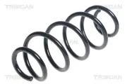 Fahrwerksfeder Hinterachse TRISCAN 8750 13209