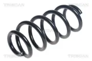 Fahrwerksfeder Hinterachse TRISCAN 8750 13228