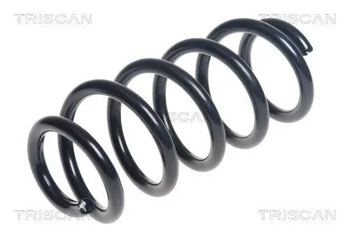 Fahrwerksfeder Hinterachse TRISCAN 8750 13228 Bild Fahrwerksfeder Hinterachse TRISCAN 8750 13228