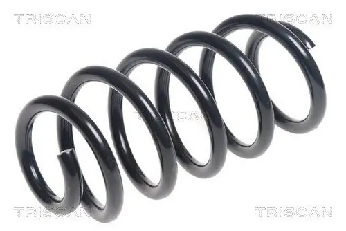 Fahrwerksfeder Hinterachse TRISCAN 8750 13237 Bild Fahrwerksfeder Hinterachse TRISCAN 8750 13237