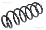 Fahrwerksfeder Hinterachse TRISCAN 8750 13238