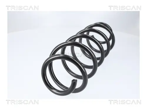 Fahrwerksfeder Hinterachse TRISCAN 8750 13257 Bild Fahrwerksfeder Hinterachse TRISCAN 8750 13257