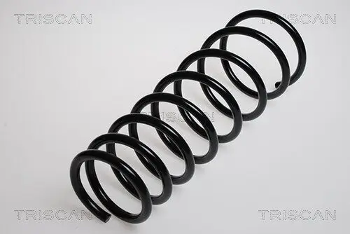 Fahrwerksfeder Hinterachse TRISCAN 8750 1380
