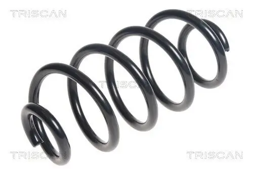 Fahrwerksfeder Hinterachse TRISCAN 8750 14110 Bild Fahrwerksfeder Hinterachse TRISCAN 8750 14110