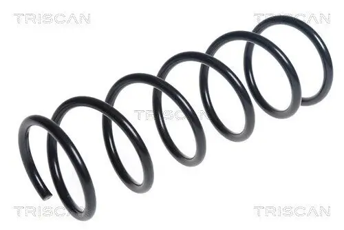 Fahrwerksfeder Vorderachse TRISCAN 8750 14120