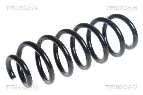 Fahrwerksfeder Hinterachse TRISCAN 8750 14129