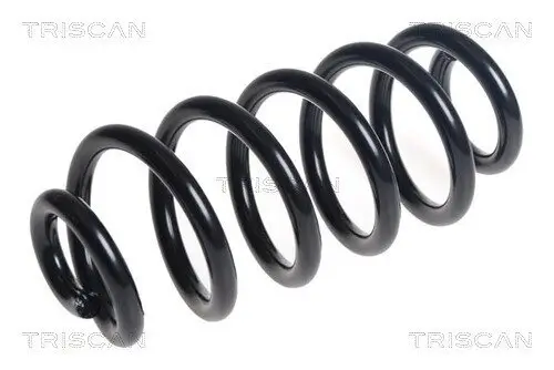 Fahrwerksfeder Hinterachse TRISCAN 8750 14130 Bild Fahrwerksfeder Hinterachse TRISCAN 8750 14130