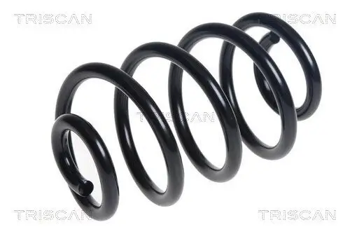Fahrwerksfeder Hinterachse TRISCAN 8750 14134 Bild Fahrwerksfeder Hinterachse TRISCAN 8750 14134