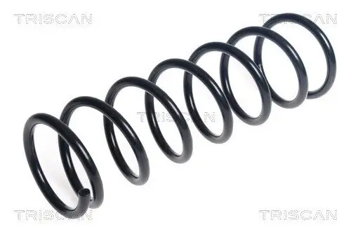 Fahrwerksfeder Vorderachse TRISCAN 8750 14138