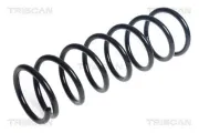 Fahrwerksfeder Vorderachse TRISCAN 8750 14138