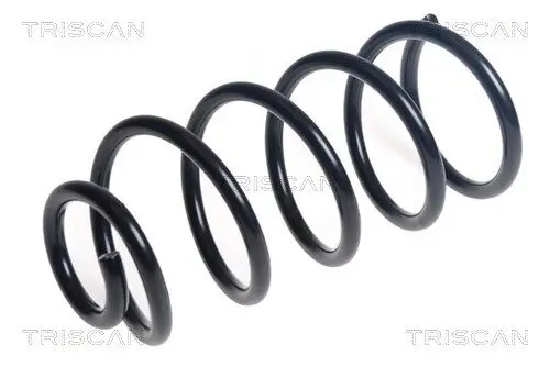 Fahrwerksfeder Hinterachse TRISCAN 8750 14140 Bild Fahrwerksfeder Hinterachse TRISCAN 8750 14140